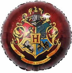 Шар Круг олшебная школа, Дизайн №2 (в упаковке)